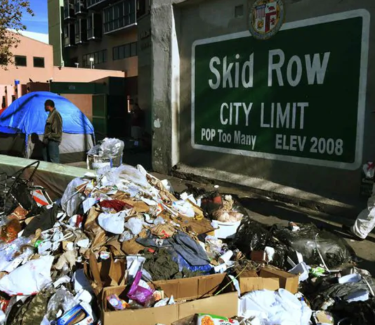 2020 Greater Los Angeles Homeless Count on January 21, 22, and 23